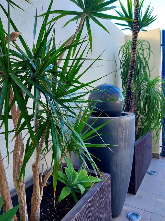 Apartmán Duplex With Sea Views, Garden And Terrace Santa Cruz de Tenerife Exteriér fotografie